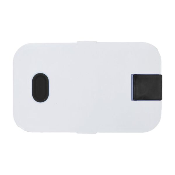 Bento Style Lunch Box Thumbnail