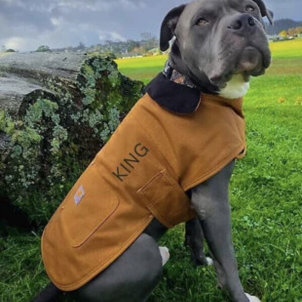 Carhartt Dog Jacket Thumbnail